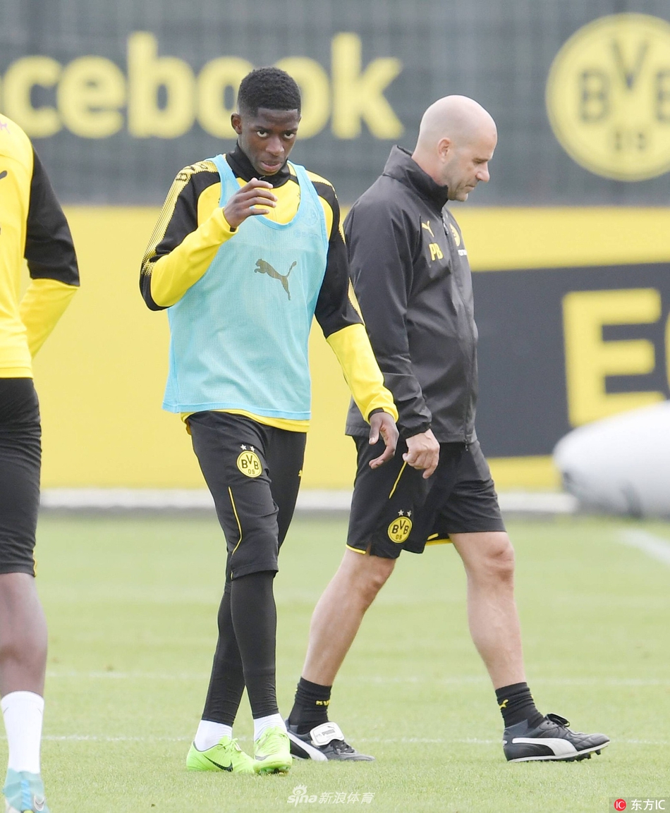 今晨体能课后，多特蒙德迎来里程碑备战德国杯，底气十足，数据趋势出现新变化的简单介绍